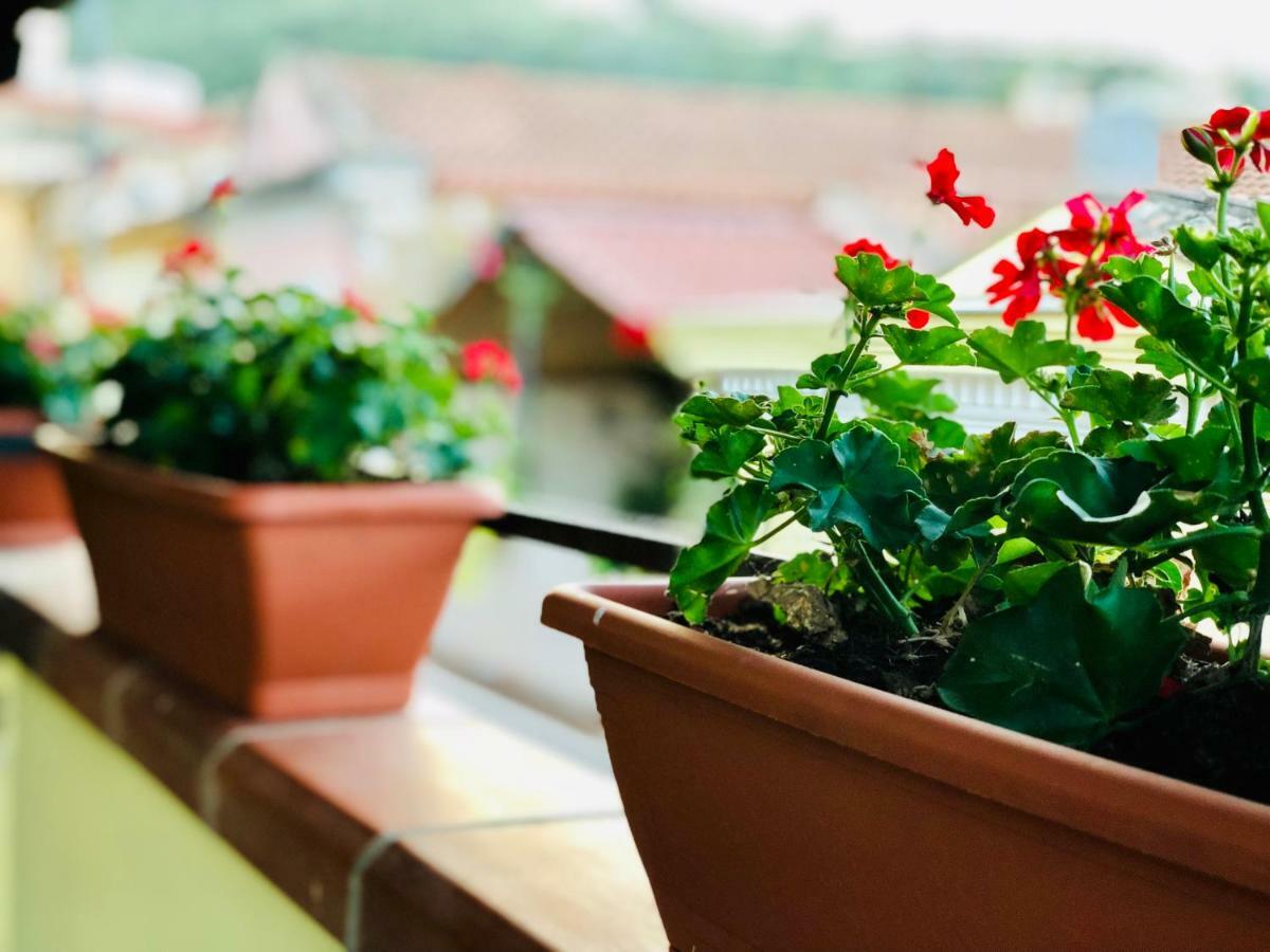 Il Terrazzino Iglesias Bed & Breakfast Eksteriør bilde